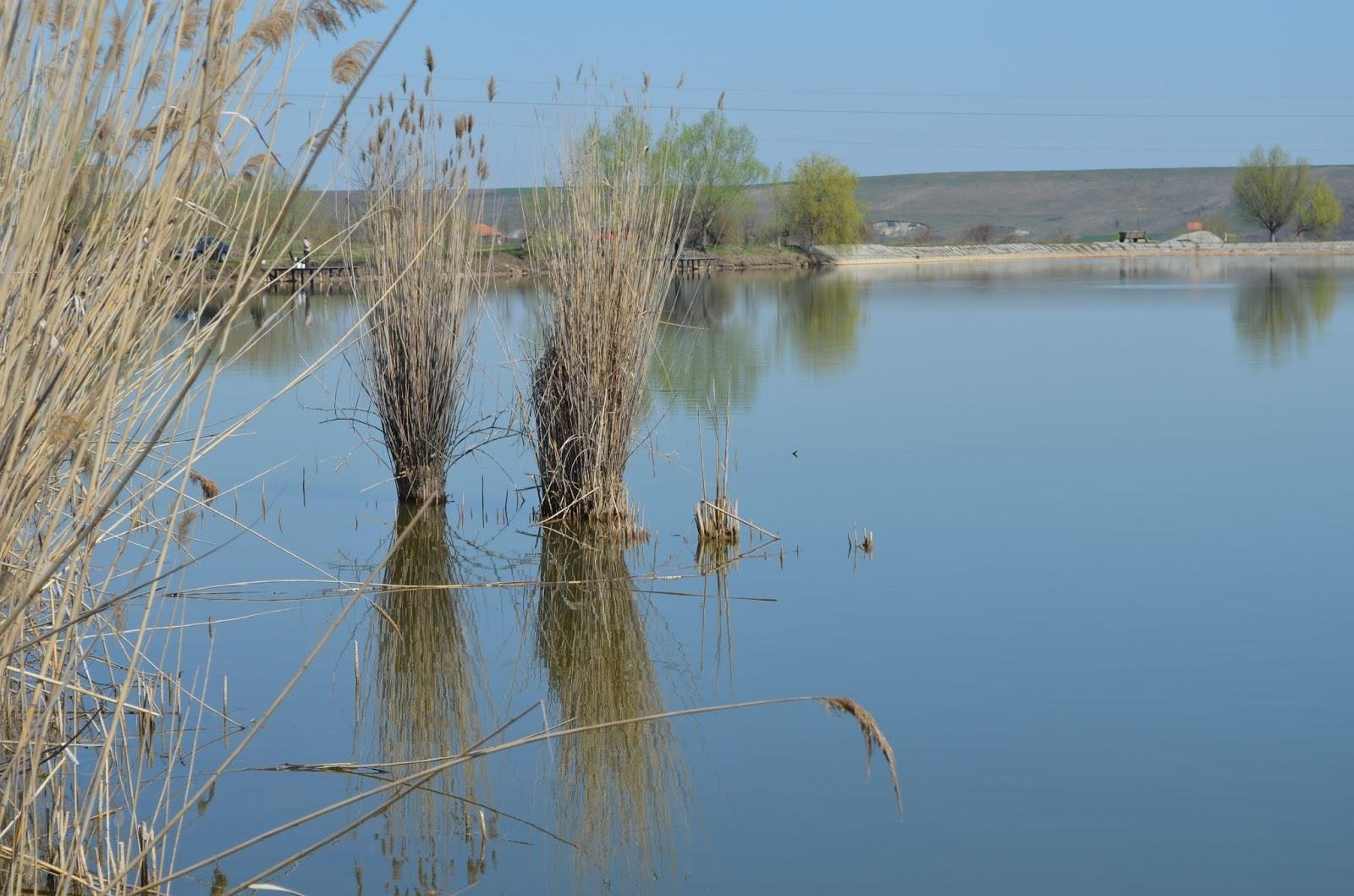 Teslui 2014 - part 1 - image111111111111111111111111111.jpg